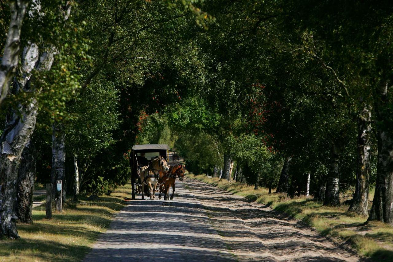Garbers-Hof Daire Undeloh Dış mekan fotoğraf